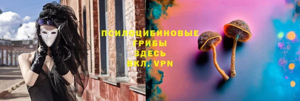 spice Алексин