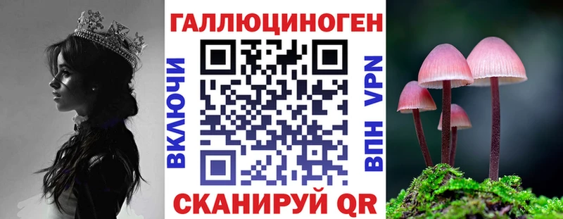 Купить где  Георгиевск  Псилоцибиновые грибы Psilocybe 